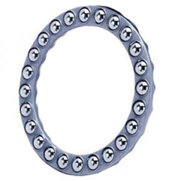 INA 06J01 distributors Thrust Ball Bearing