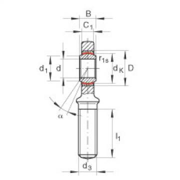 FAG Germany Gelenkk&ouml;pfe - GAL30-UK