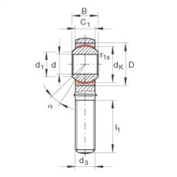 FAG Germany Rod ends - GAKL14-PW