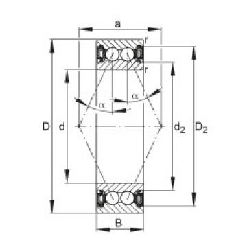 FAG Germany Angular contact ball bearings - 3803-B-2RZ-TVH