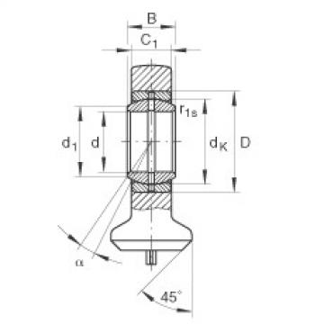 FAG Germany Hydraulic rod ends - GK17-DO