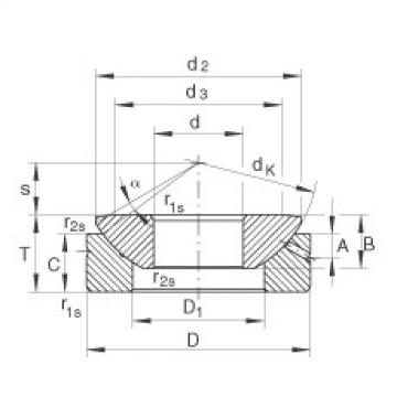 FAG Germany Axial-Gelenklager - GE20-AX