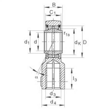 FAG Germany Hydraulic rod ends - GIHNRK20-LO