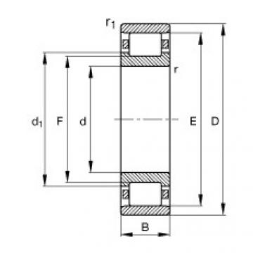 FAG Germany Zylinderrollenlager - N205-E-XL-TVP2