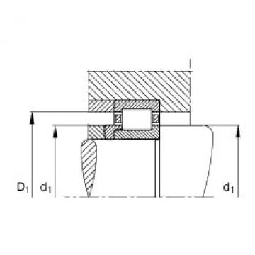 FAG Germany Cylindrical roller bearings - NJ204-E-XL-TVP2 + HJ204-E