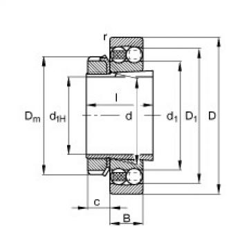 FAG Germany Pendelkugellager - 2205-K-TVH-C3 + H305