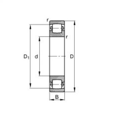 FAG Germany Barrel roller bearings - 20205-TVP