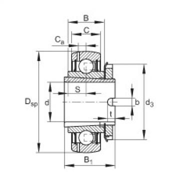 FAG Germany Radial insert ball bearings - GSH20-XL-2RSR-B