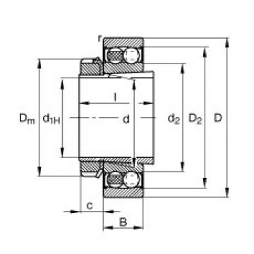 FAG Germany Pendelkugellager - 2205-K-2RS-TVH-C3 + H305