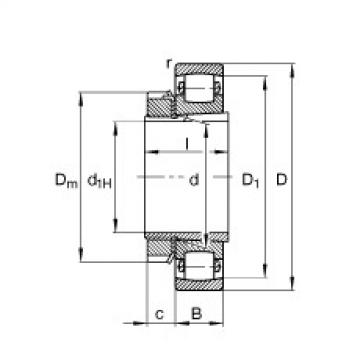 FAG Germany Barrel roller bearings - 20205-K-TVP-C3 + H205