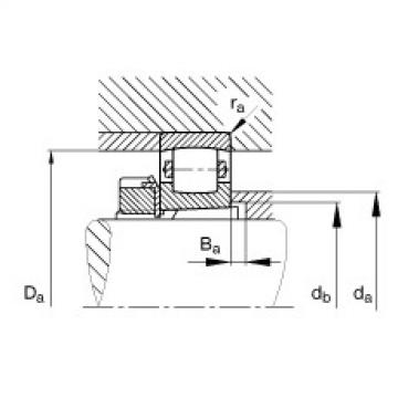 FAG Germany Barrel roller bearings - 20205-K-TVP-C3 + H205