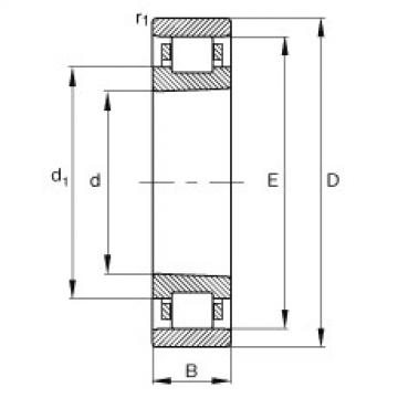 FAG Germany Cylindrical roller bearings - N1007-K-M1-SP