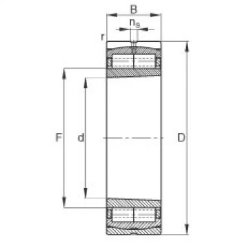 FAG Germany Cylindrical roller bearings - F-800483.ZL-K-C5