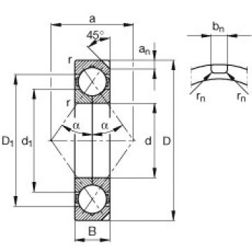 FAG Germany Four point contact bearings - QJ1019-N2-MPA