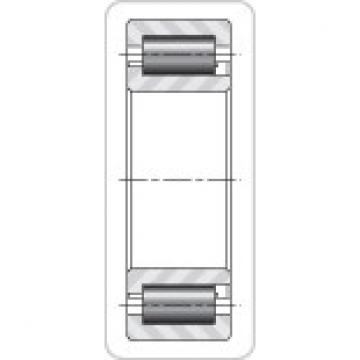  NJ2319EMA TIMKEN